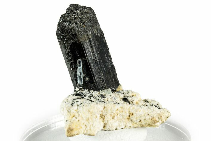 Aquamarine and Schorl Crystals on Feldspar - Namibia #330858